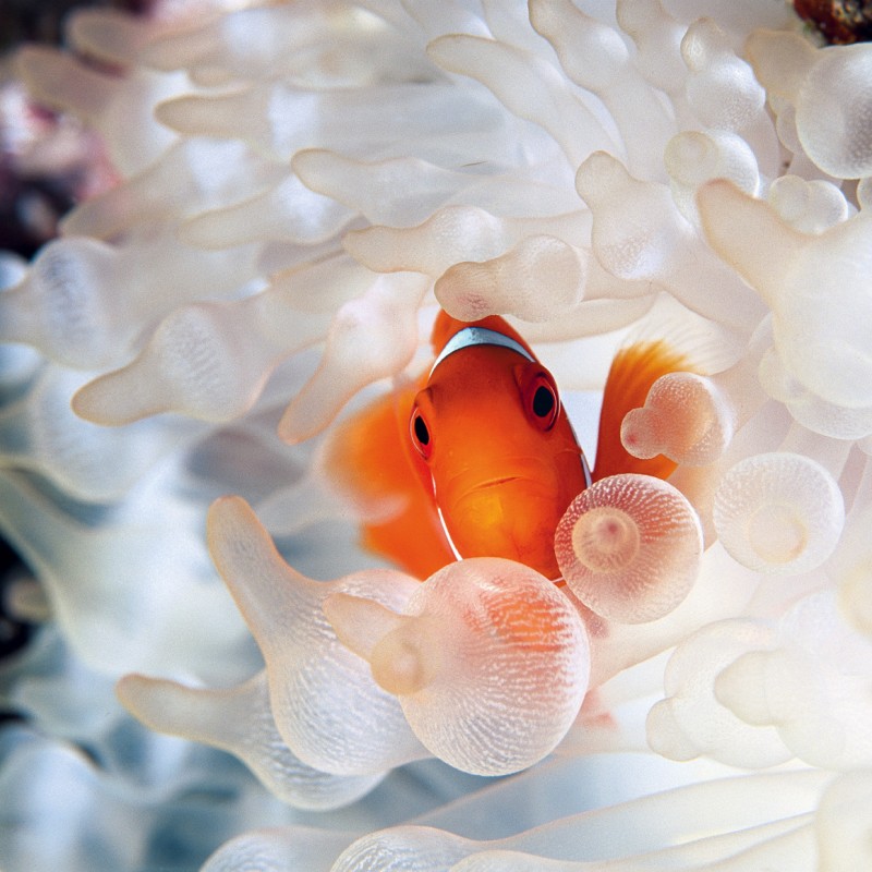 6260022608_ccbf9e9dc7_o